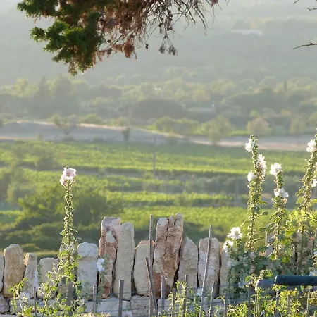 Mas Des Etoiles-luberon Bed and Breakfast Cabrières-dʼAvignon