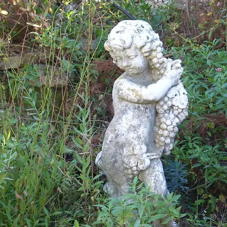 Mas Des Etoiles-luberon Cabrières-dʼAvignon